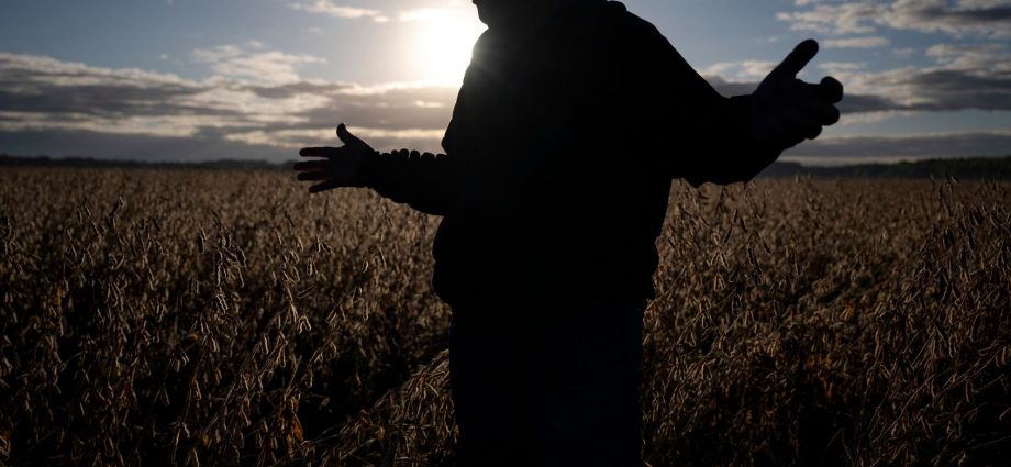 the-traitor-proposes-$12-billion-bailout-package-for-farmers-affected-by-his-tariffs