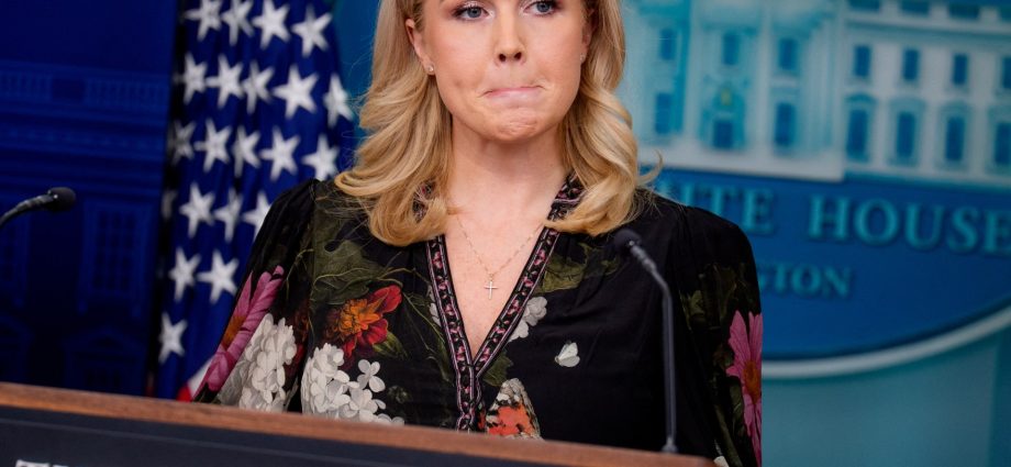 woman-linked-to-the-traitor-press-secretary-leavitt-freed-by-immigration-agency