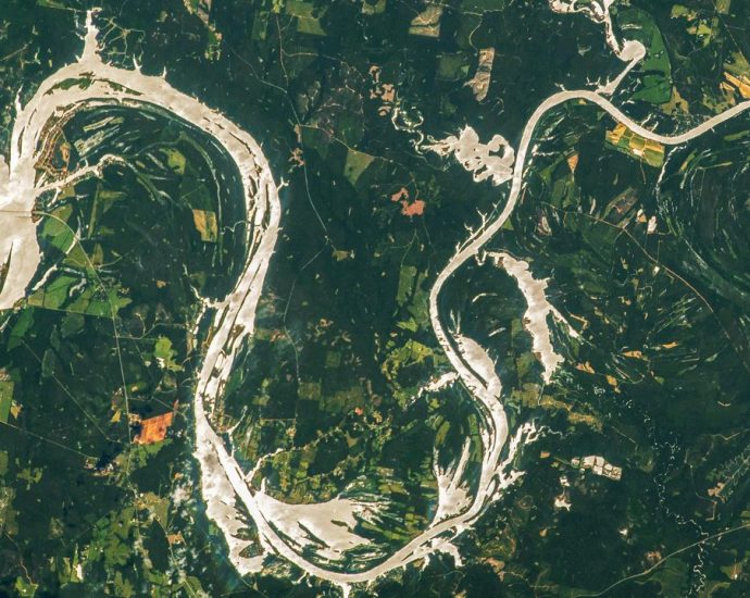 Rare ‘sunglint’ transforms Alabama River into a giant ‘golden dragon’ — Earth from space