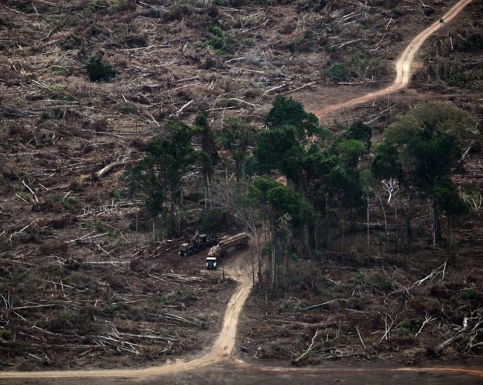 days-after-cop30,-brazil-weakened-amazon-safeguards