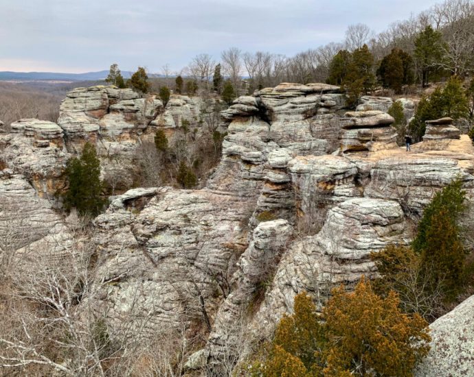 Bill Ensuring Active Management of Shawnee National Forest Clears Senate Committee