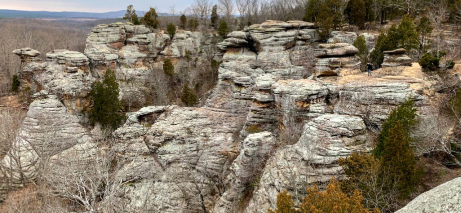 Bill Ensuring Active Management of Shawnee National Forest Clears Senate Committee
