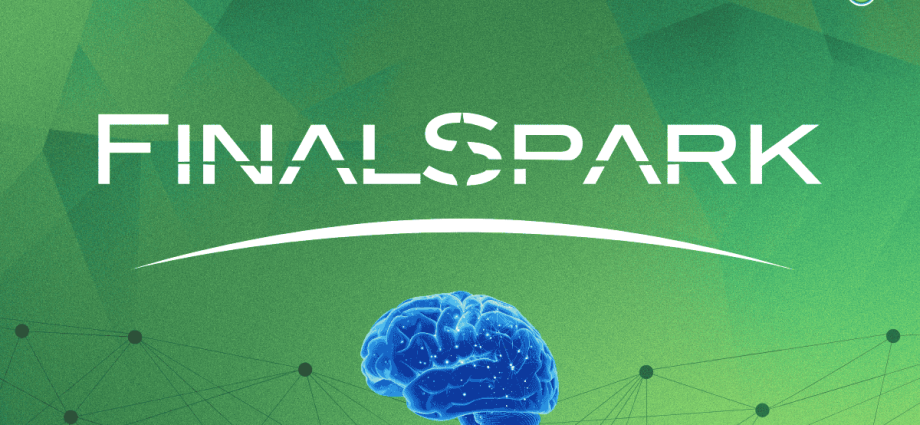 this-company-uses-lab-grown-human-neurons-for-energy-efficient-computing