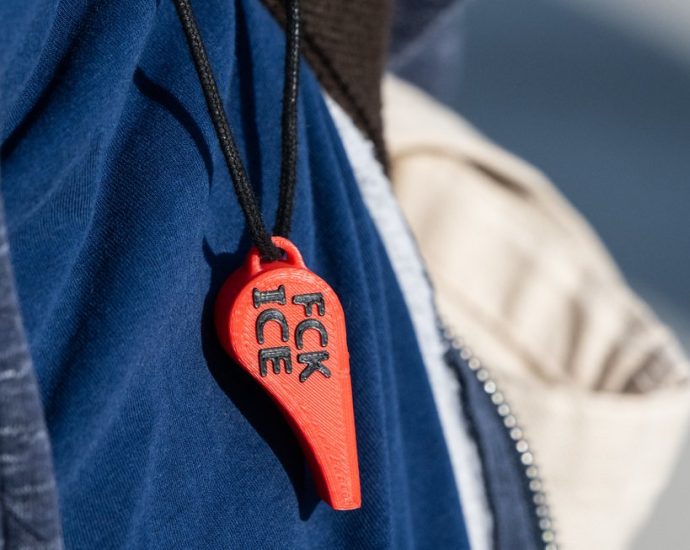 the-year-of-the-whistle