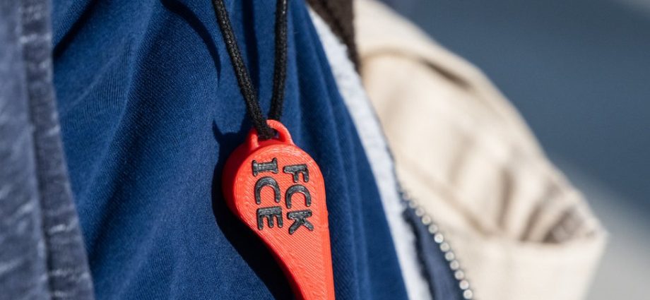 the-year-of-the-whistle