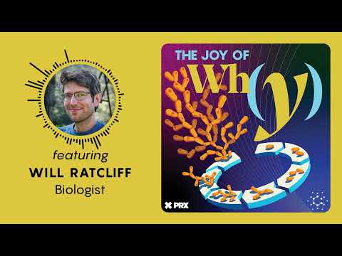 how-did-multicellular-life-evolve?-|-podcast:-the-joy-of-why