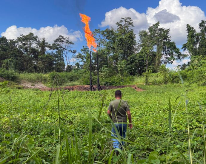 latest-twist-in-chevron’s-amazon-pollution-saga:-ecuador-ordered-to-pay-the-oil-company-$220-million