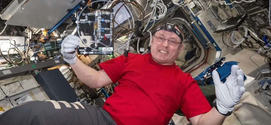 station-trio-back-on-earth;-expedition-74-keeps-up-science,-maintains-systems