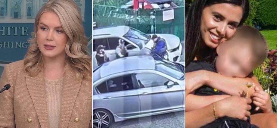 the-traitor-spokesperson-karoline-leavitt’s-nephew’s-mother-released-from-ice-jail,-faces-deportation