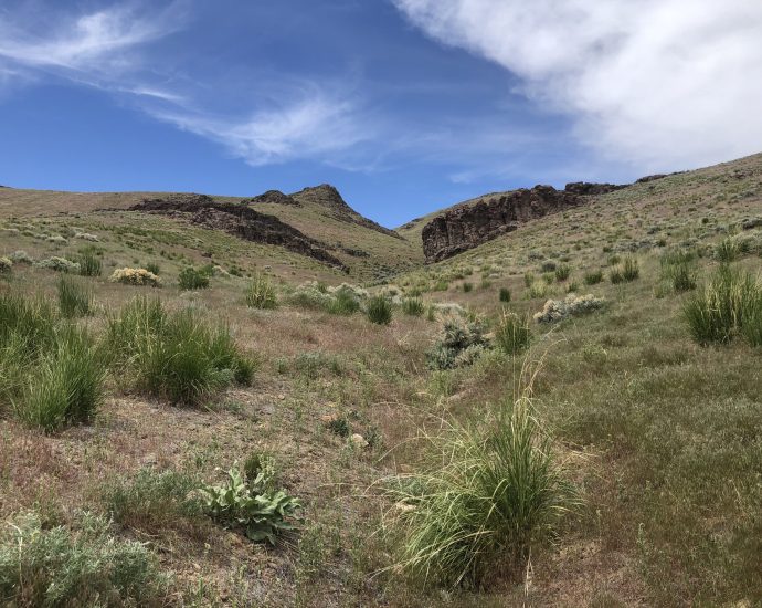 top-interior-department-official-has-ties-to-thacker-pass-lithium-mine