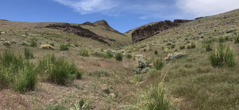 top-interior-department-official-has-ties-to-thacker-pass-lithium-mine