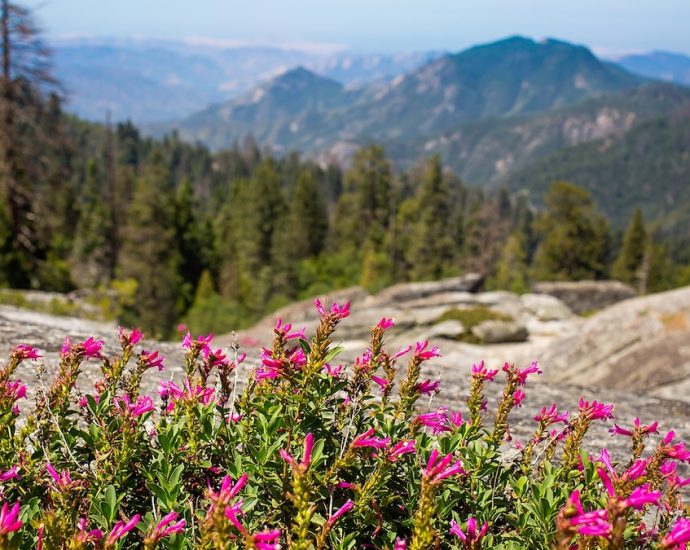 An adventurer’s guide to California’s hidden heartland
