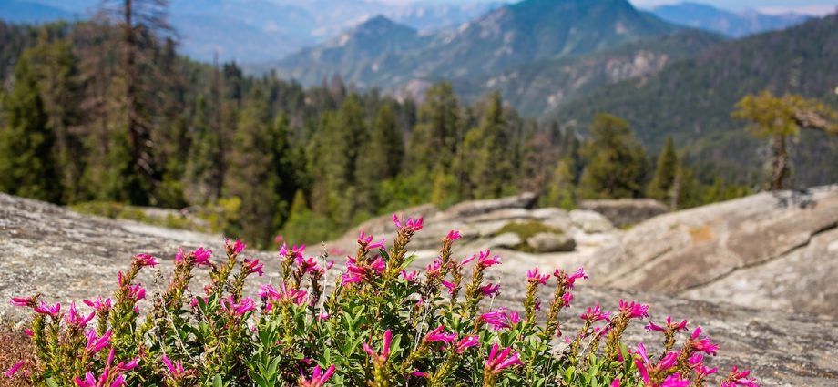 An adventurer’s guide to California’s hidden heartland