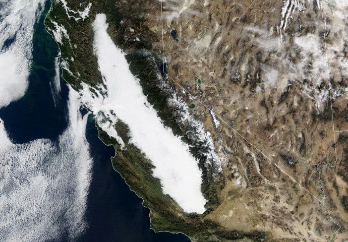 an-unrelenting-tule-fog