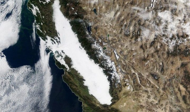 an-unrelenting-tule-fog