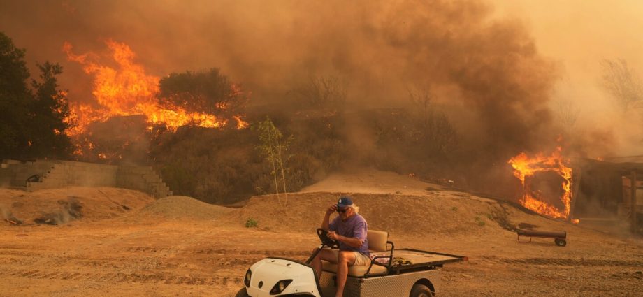 UN urges new approach to the most urgent environmental issues