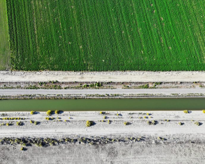 colorado-river-water-is-too-cheap,-particularly-for-agricultural-users