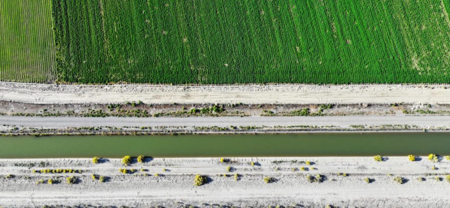 colorado-river-water-is-too-cheap,-particularly-for-agricultural-users