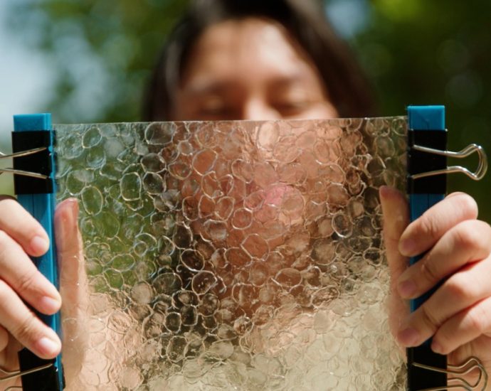 mit-senior-turns-waste-from-the-fishing-industry-into-biodegradable-plastic