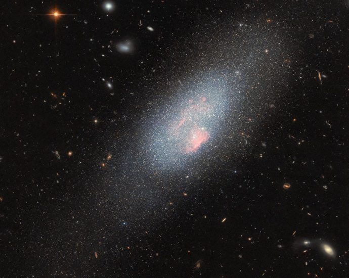 massive-stars-make-their-mark-in-hubble-image