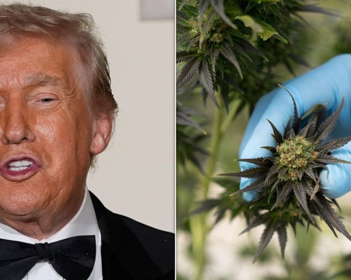 the-traitor-may-finally-reschedule-pot,-and-cannabis-insiders-have-concerns