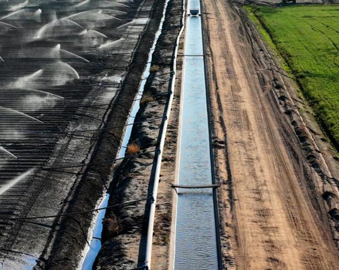 some-big-water-agencies-in-farming-areas-get-water-for-free.-critics-say-that-needs-to-end