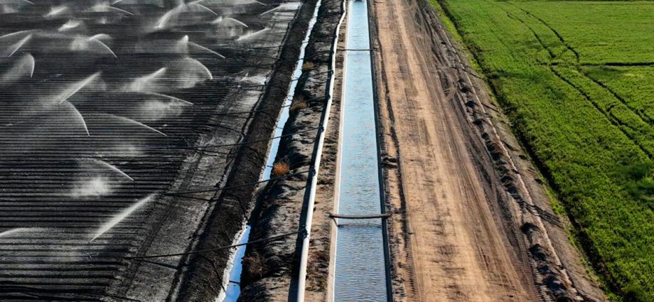 some-big-water-agencies-in-farming-areas-get-water-for-free.-critics-say-that-needs-to-end