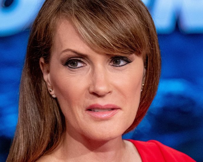 fox-host-defends-ai-data-center-needs-over-christmas-tree-farm:-‘get-on-board’