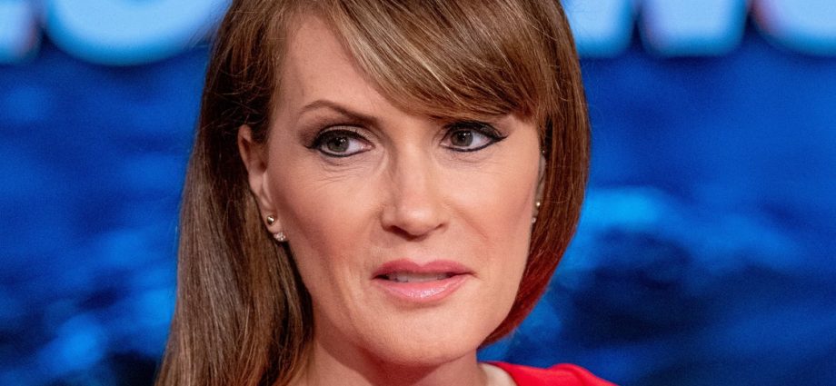 fox-host-defends-ai-data-center-needs-over-christmas-tree-farm:-‘get-on-board’