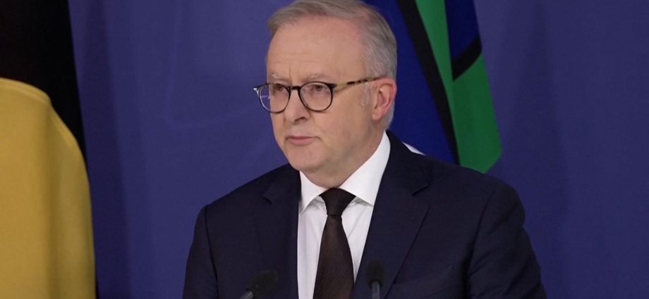 pm-albanese-calls-bondi-shooting-‘an-outrage’,-vows-to-review-gun-laws