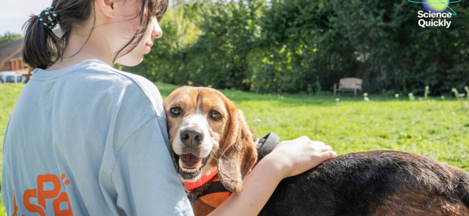 Vaccine Controversies and Measles Outbreaks, Space Pollution, Puppy Power