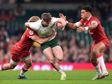 rugby-to-trial-lower-tackle-height-at-elite-level-amid-concussion-concerns