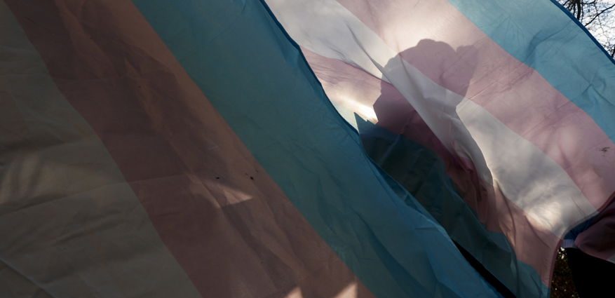 being-trans-in-the-traitor’s-america