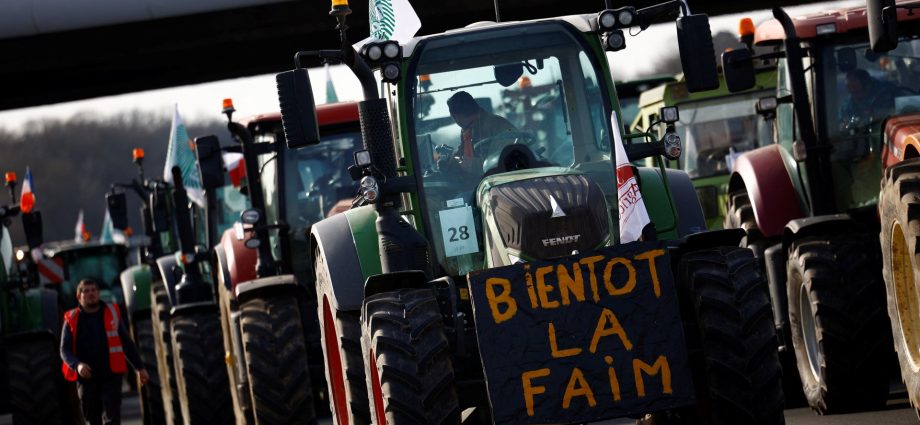 why-are-french-farmers-objecting-to-eu-mercosur-trade-deal?