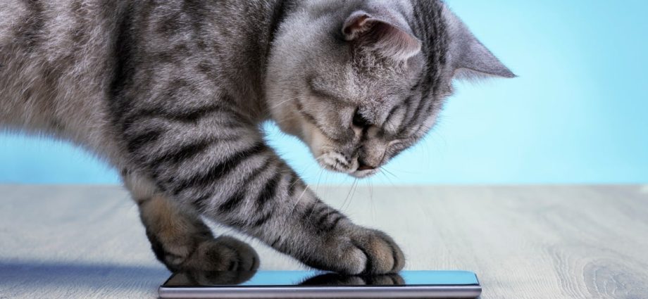 smartphones-face-a-memory-cost-crunch-–-and-buyers-aren’t-in-the-mood