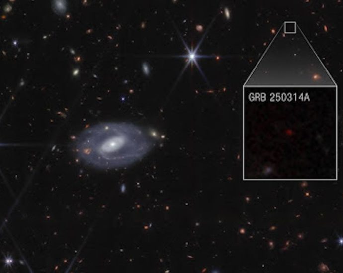 ‘We were amazed’: Scientists using James Webb telescope may have discovered the earliest supernova in the known universe