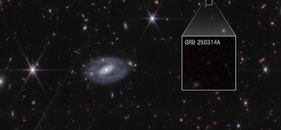 ‘We were amazed’: Scientists using James Webb telescope may have discovered the earliest supernova in the known universe