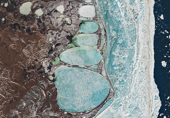 a-siberian-snowman-in-billings