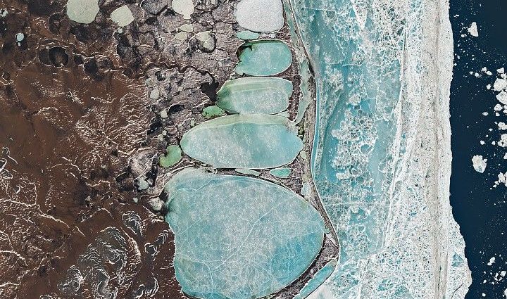 a-siberian-snowman-in-billings