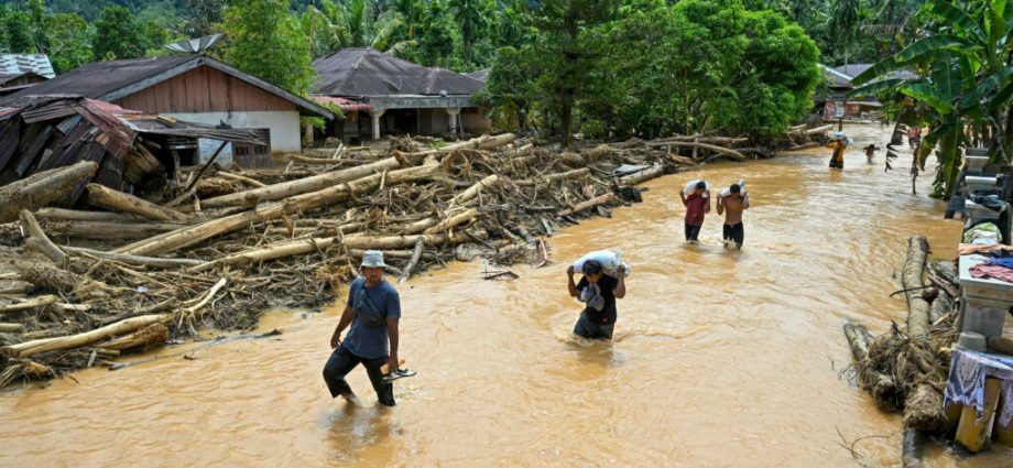 sumatra’s-deadly-floods-may-have-pushed-a-rare-ape-closer-to-the-brink-of-extinction