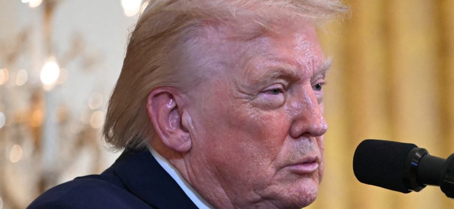 traitor-47-white-house’s-‘jingle-bells’-video-taunt-of-immigrants-draws-fury