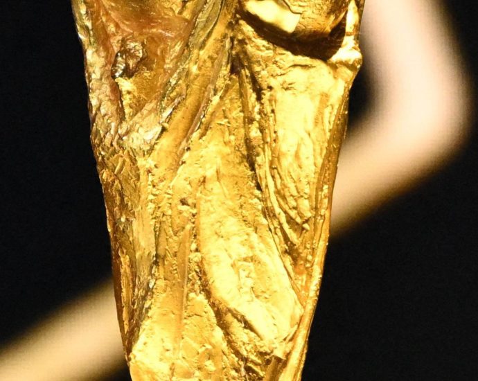 fifa-to-offer-world-cup-tickets-for-$60-after-backlash