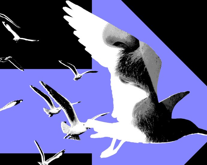 the-most-powerful-politics-influencers-barely-post-about-politics