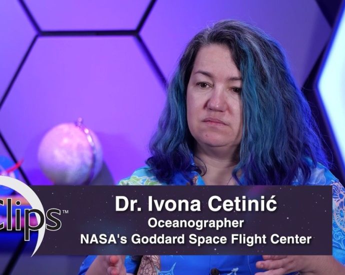 our-world:-phytoplankton-–-powering-the-ocean-food-web