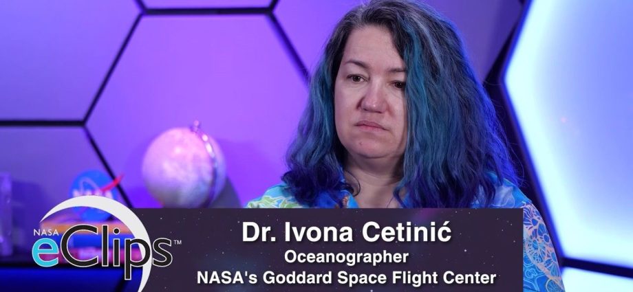 our-world:-phytoplankton-–-powering-the-ocean-food-web