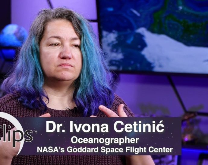 real-world:-phytoplankton,-microscopic-drifters