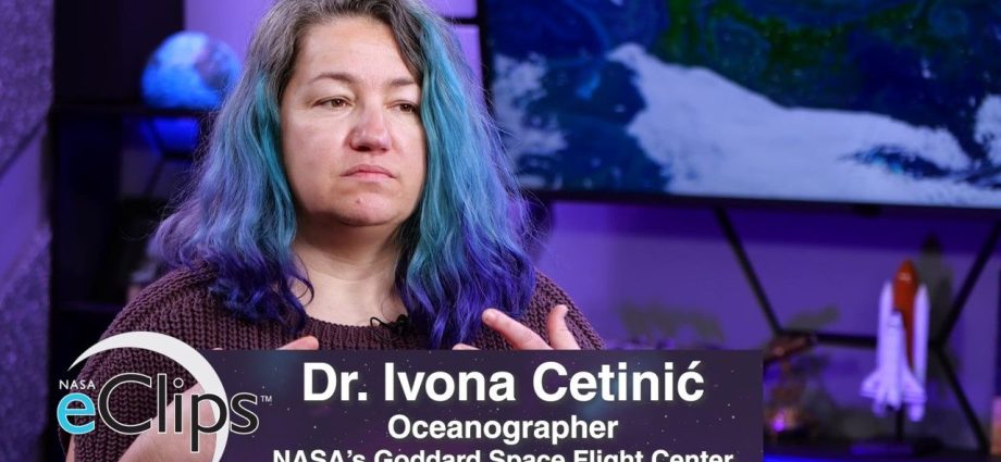 real-world:-phytoplankton,-microscopic-drifters