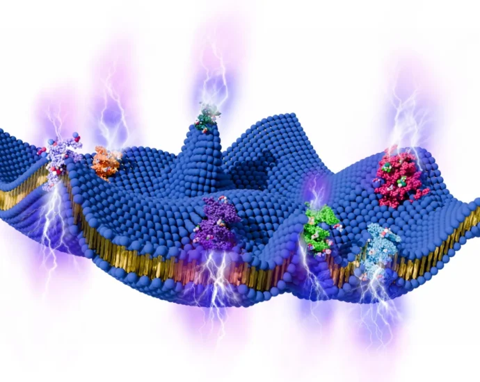 living-cells-may-generate-electricity-from-motion