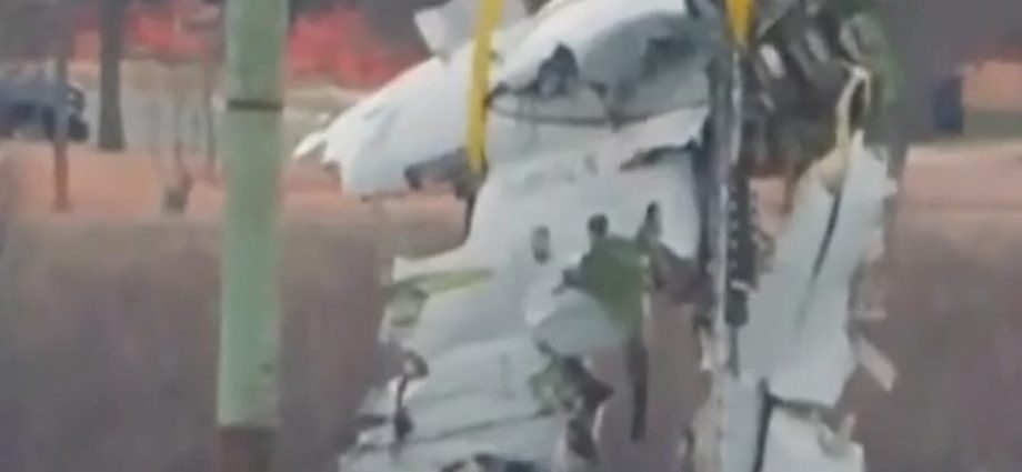 us.-government-admits-to-errors-in-fatal-dca-crash