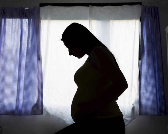 how-a-top-tier-surrogacy-agency-became-an-fbi-target